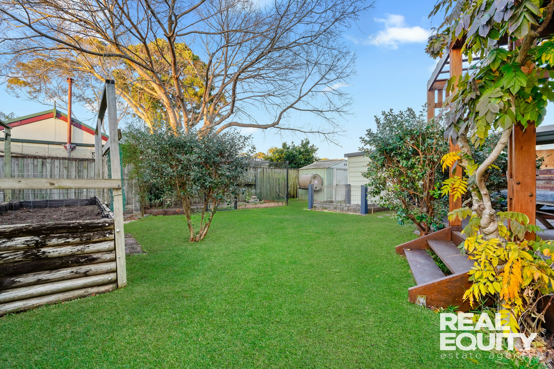 Image of backyard