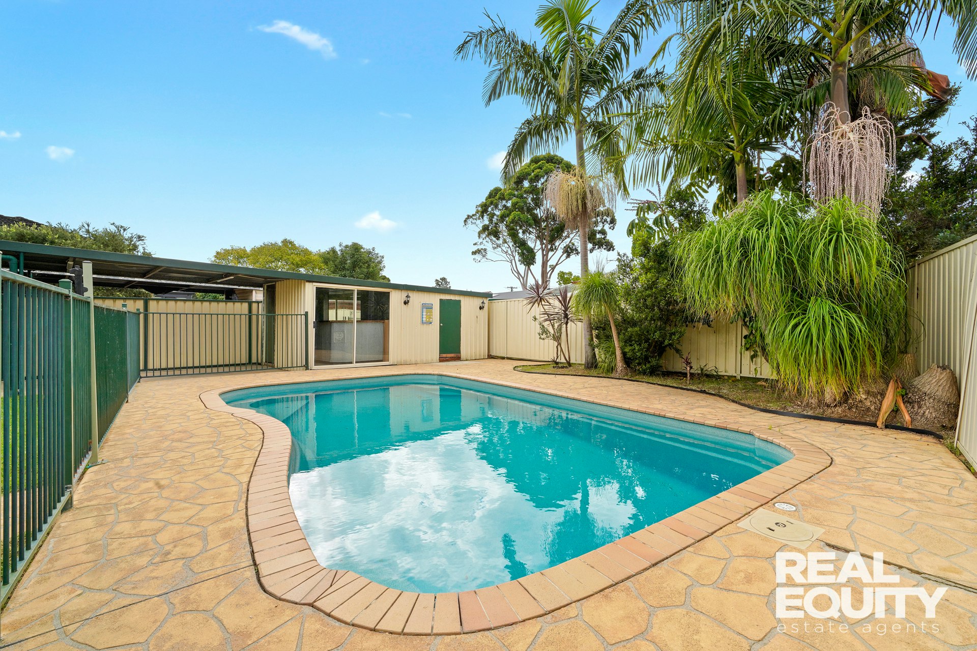 Image of backyard