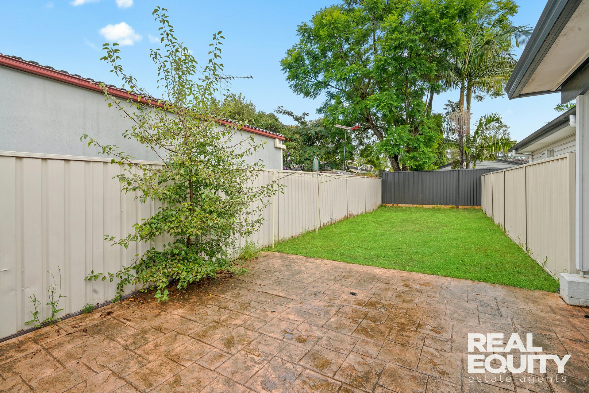 Image of backyard