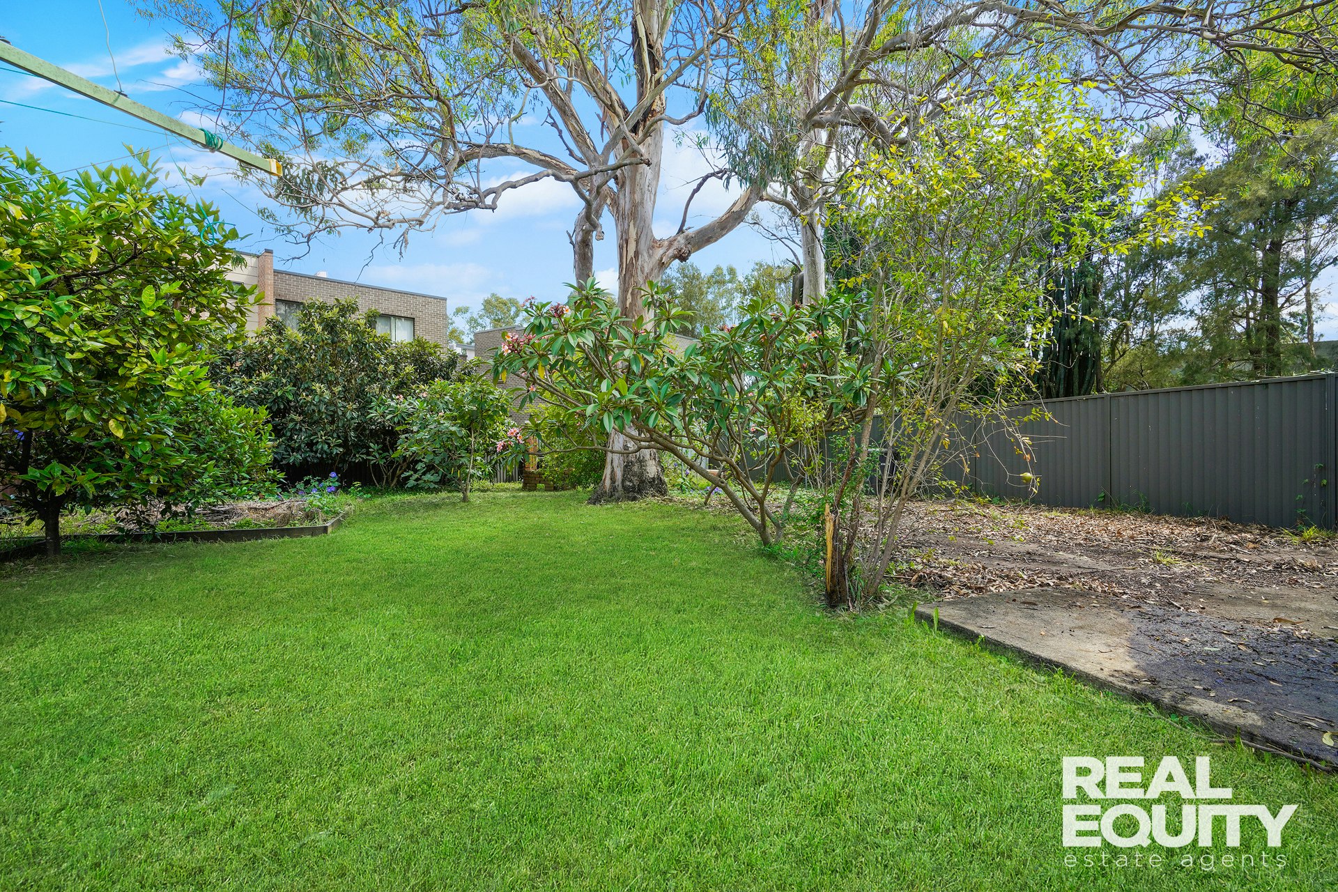 Image of backyard