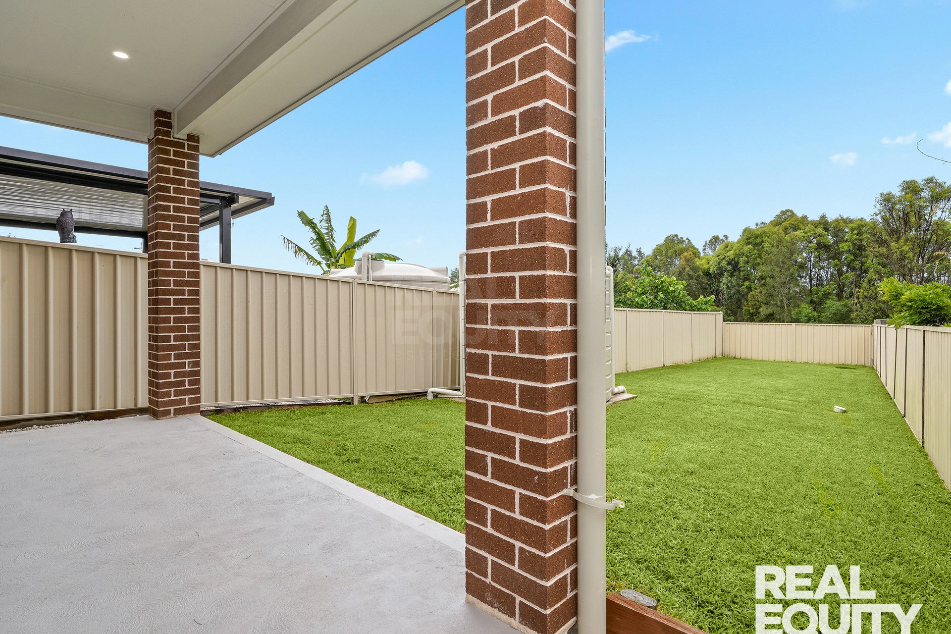 Image of backyard