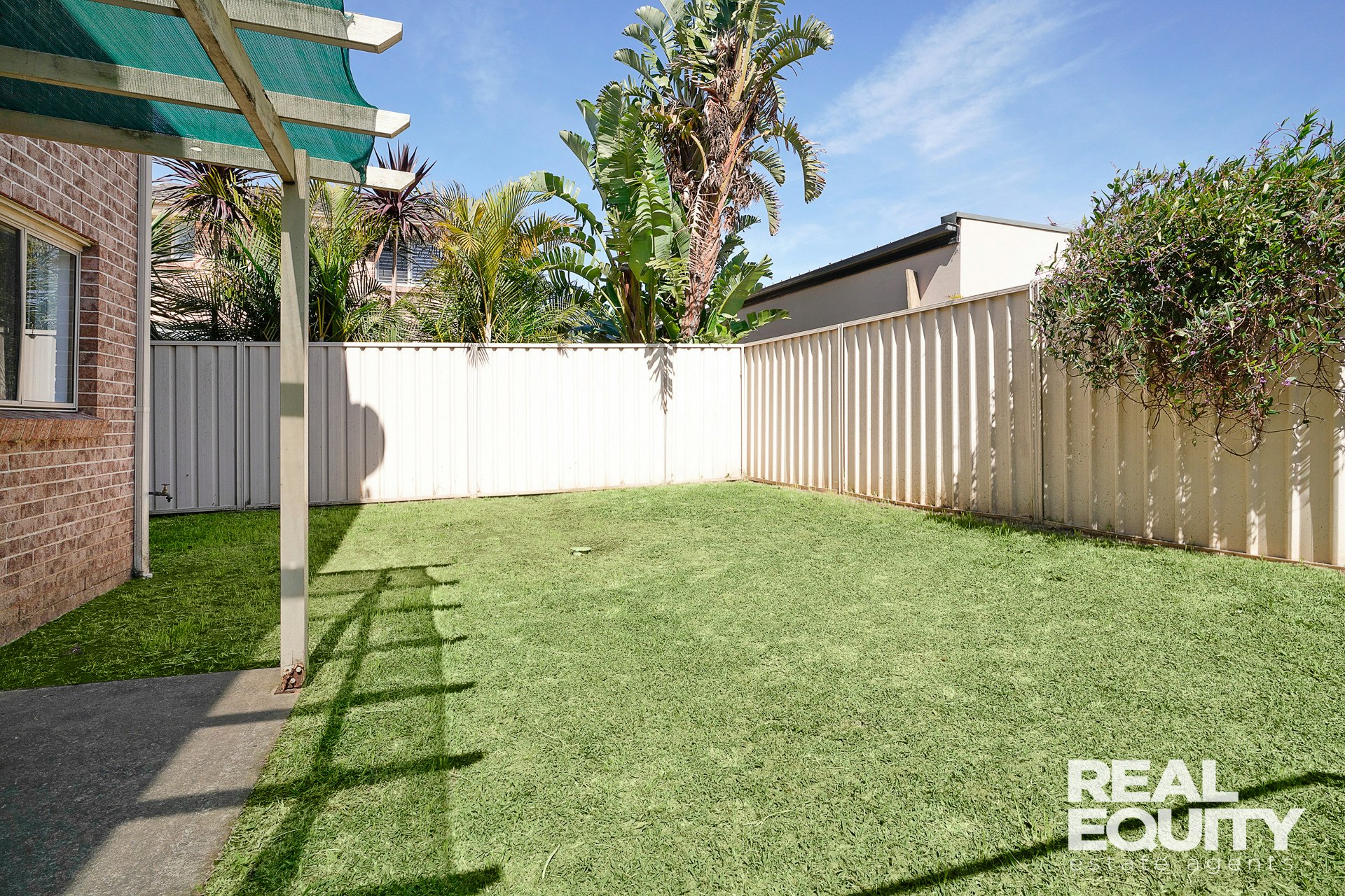 Image of backyard