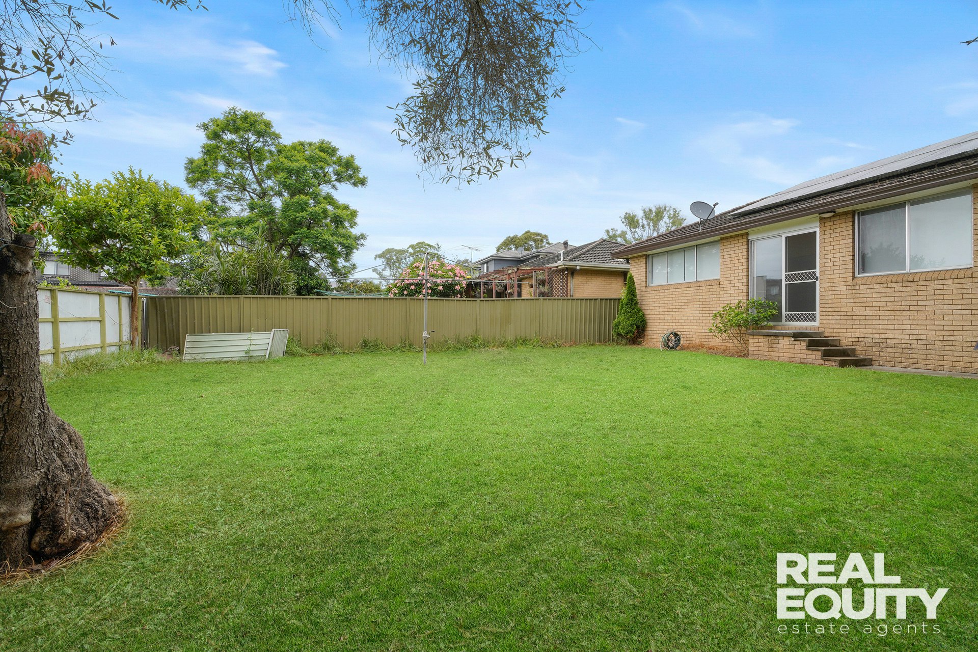 Image of backyard