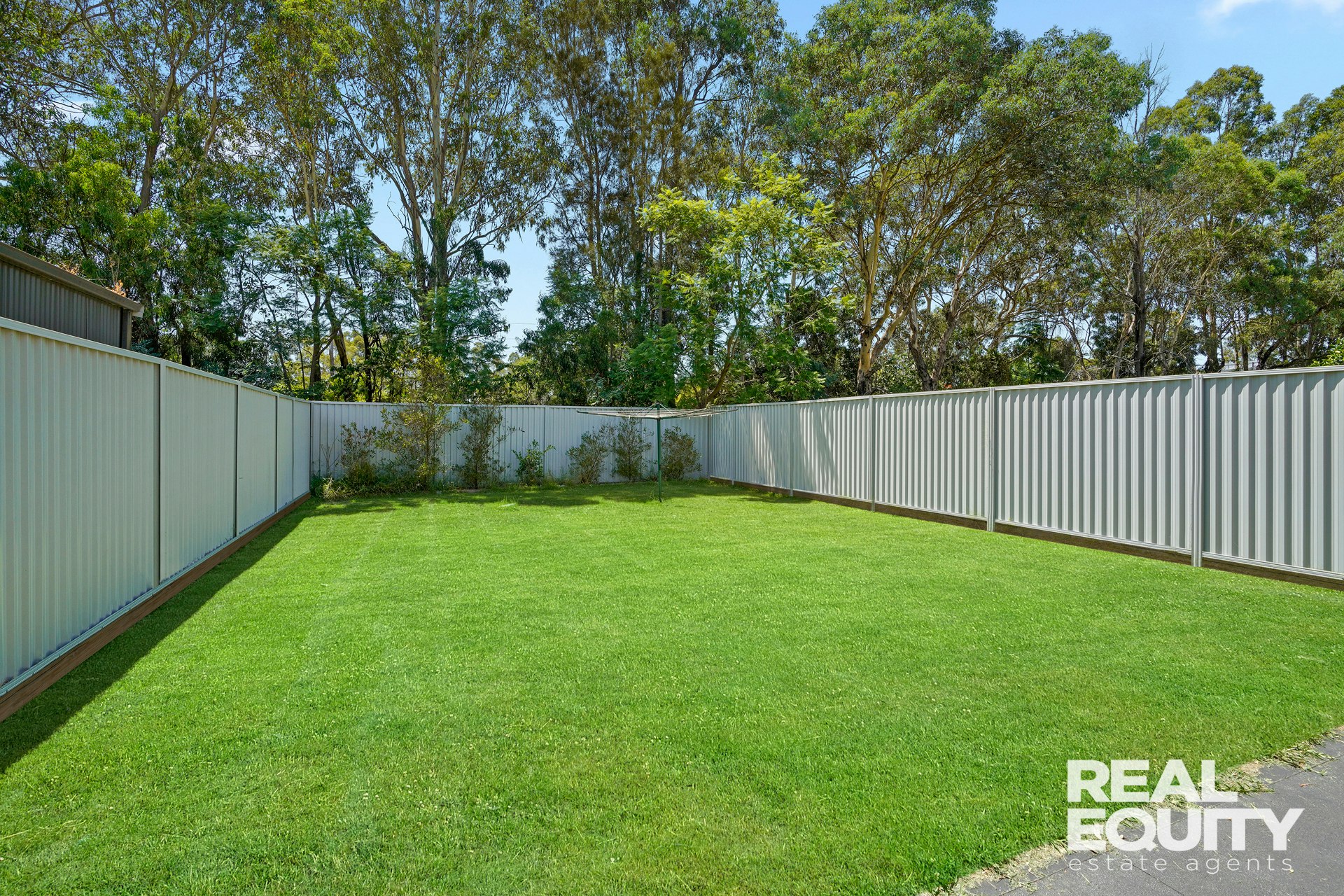 Image of backyard