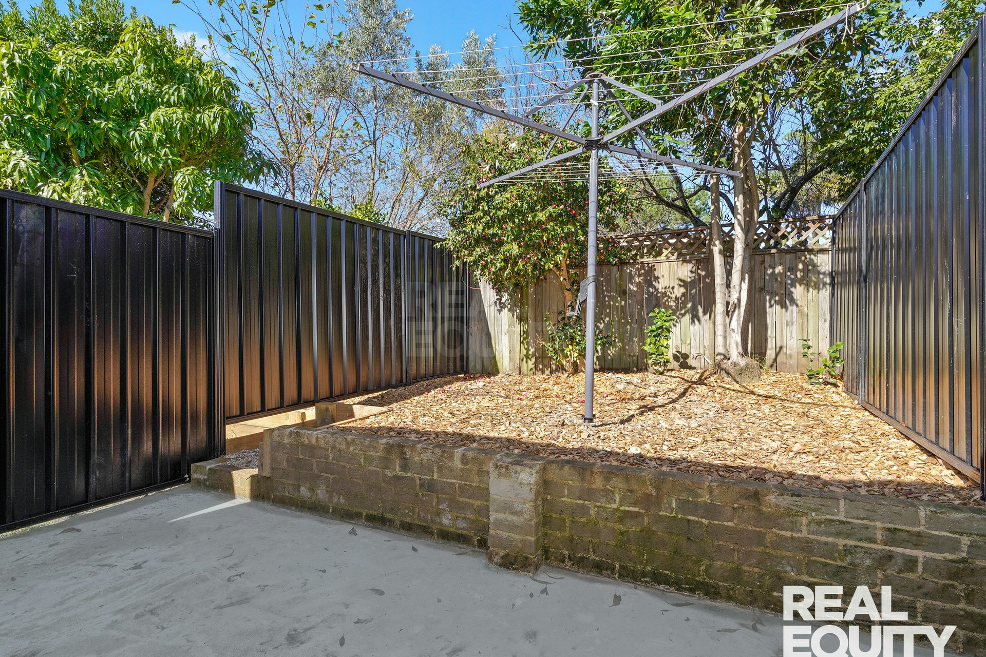 Image of backyard