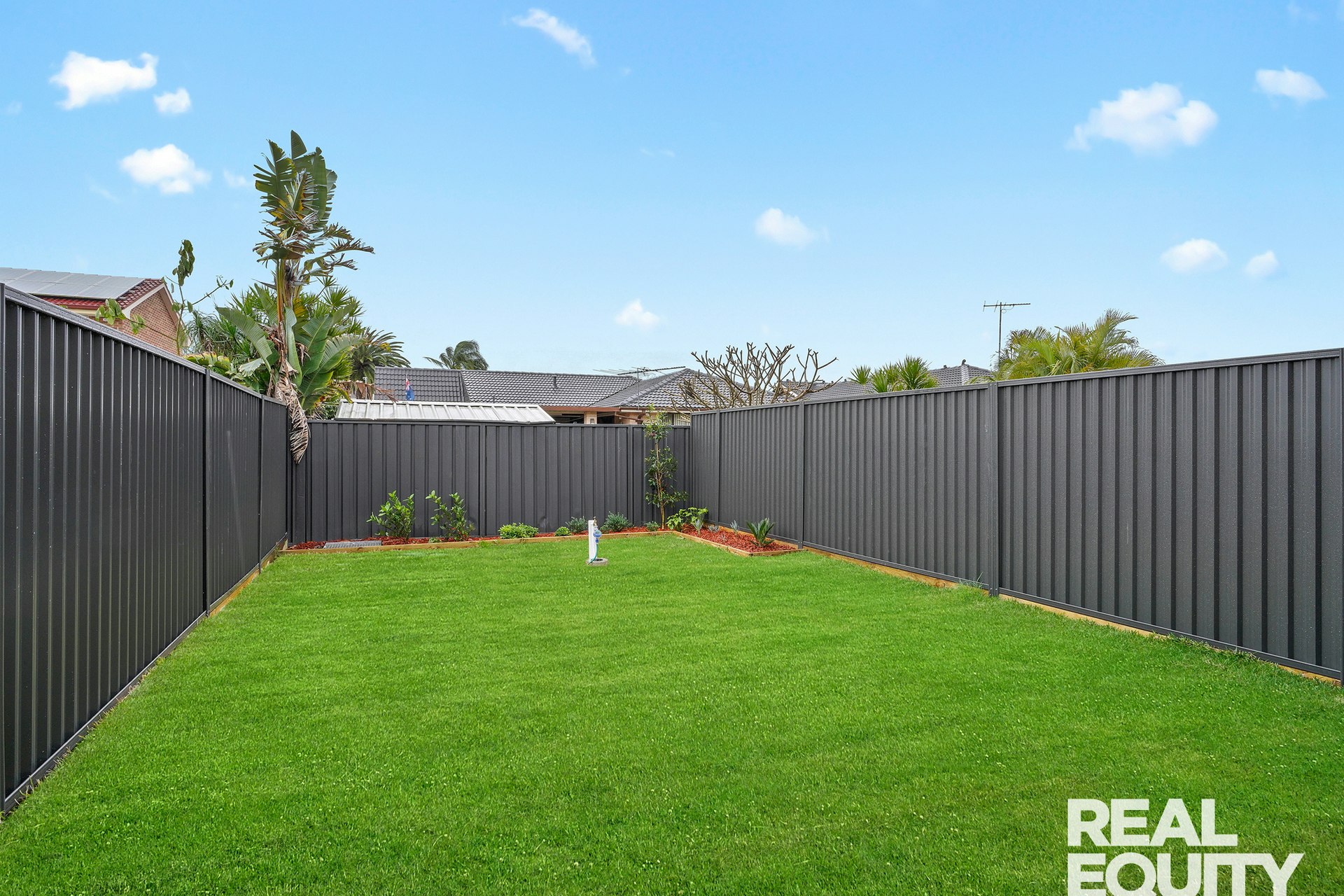 Image of backyard
