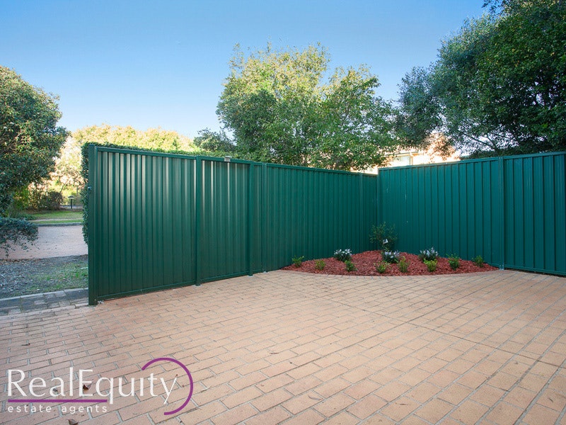 Image of backyard