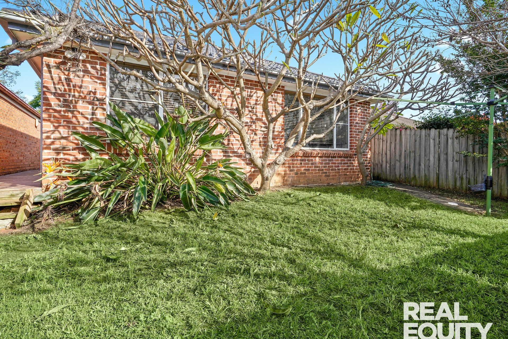 Image of grass