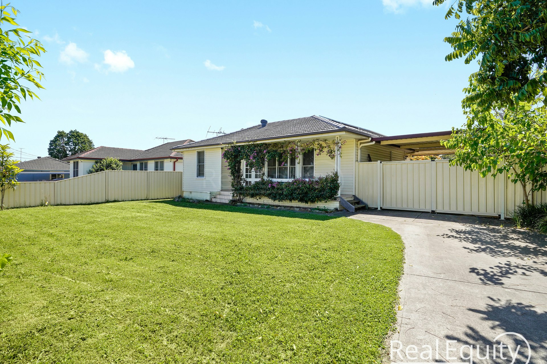 Image of backyard