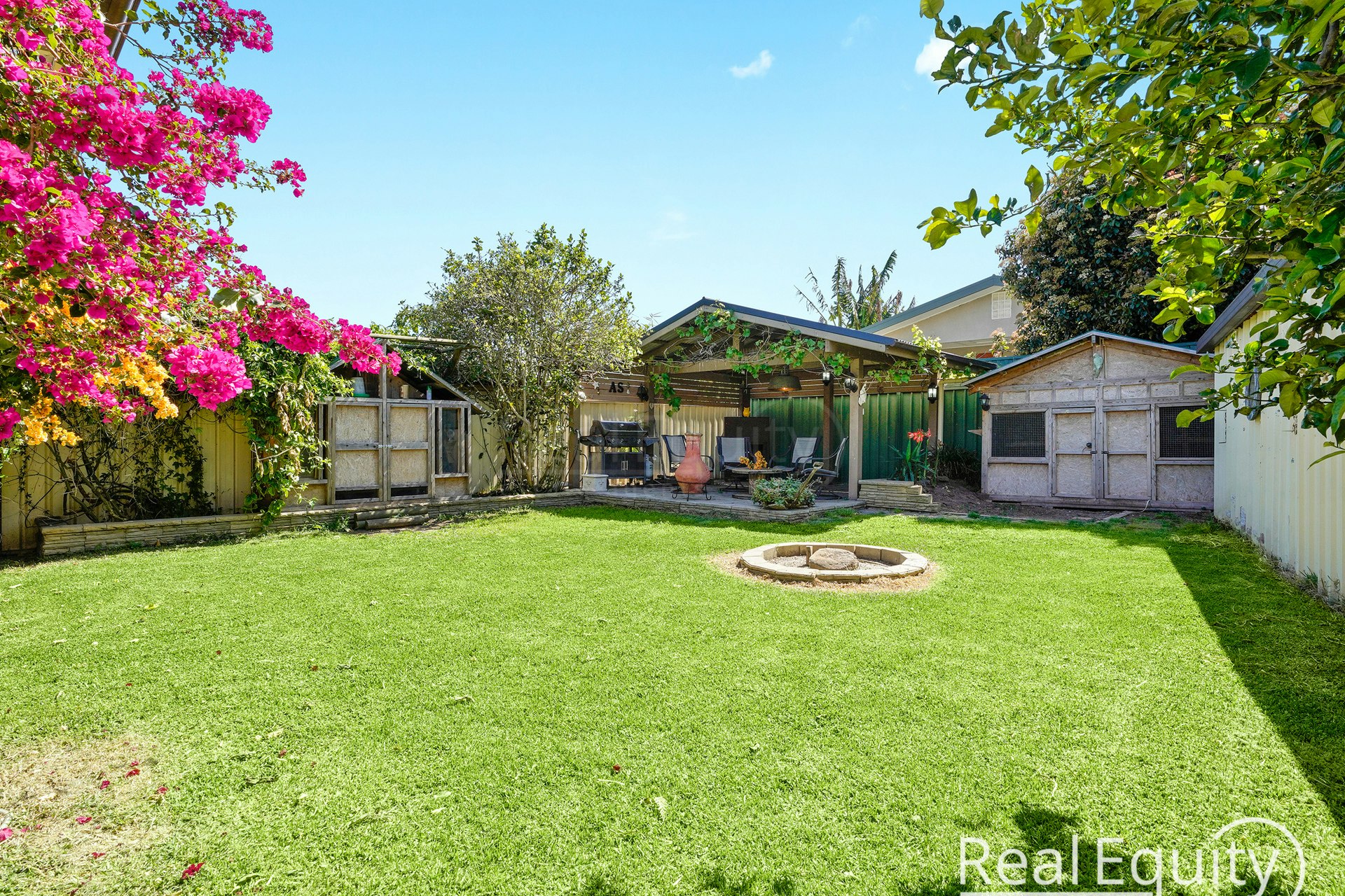 Image of backyard