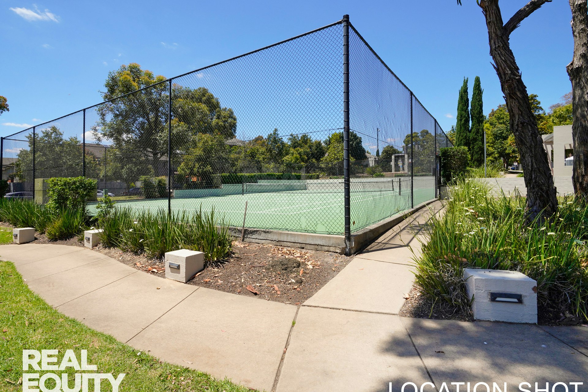 Image of backyard
