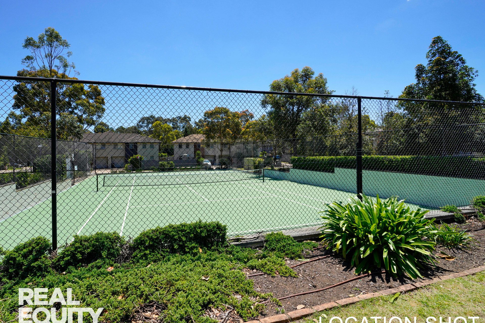 Image of backyard