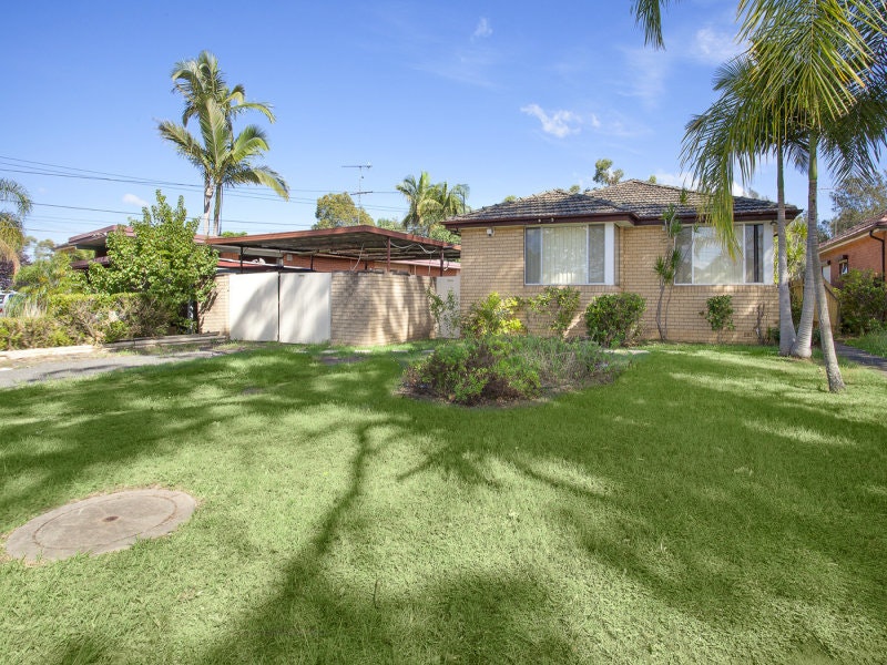 Image of grass