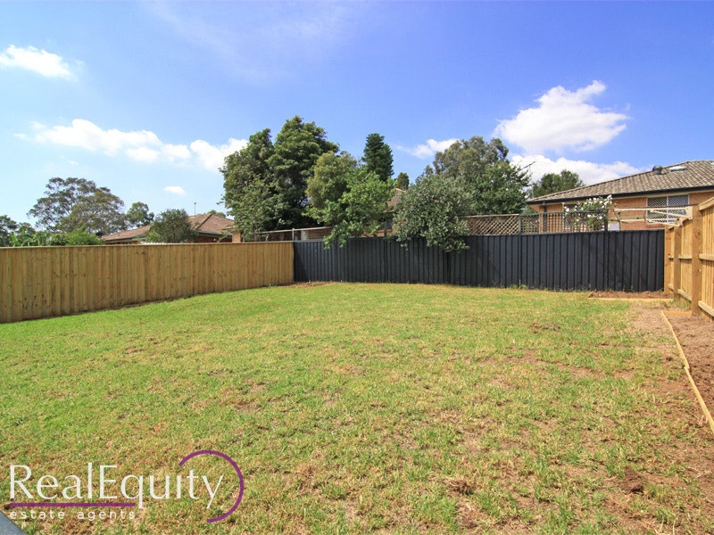 Image of backyard