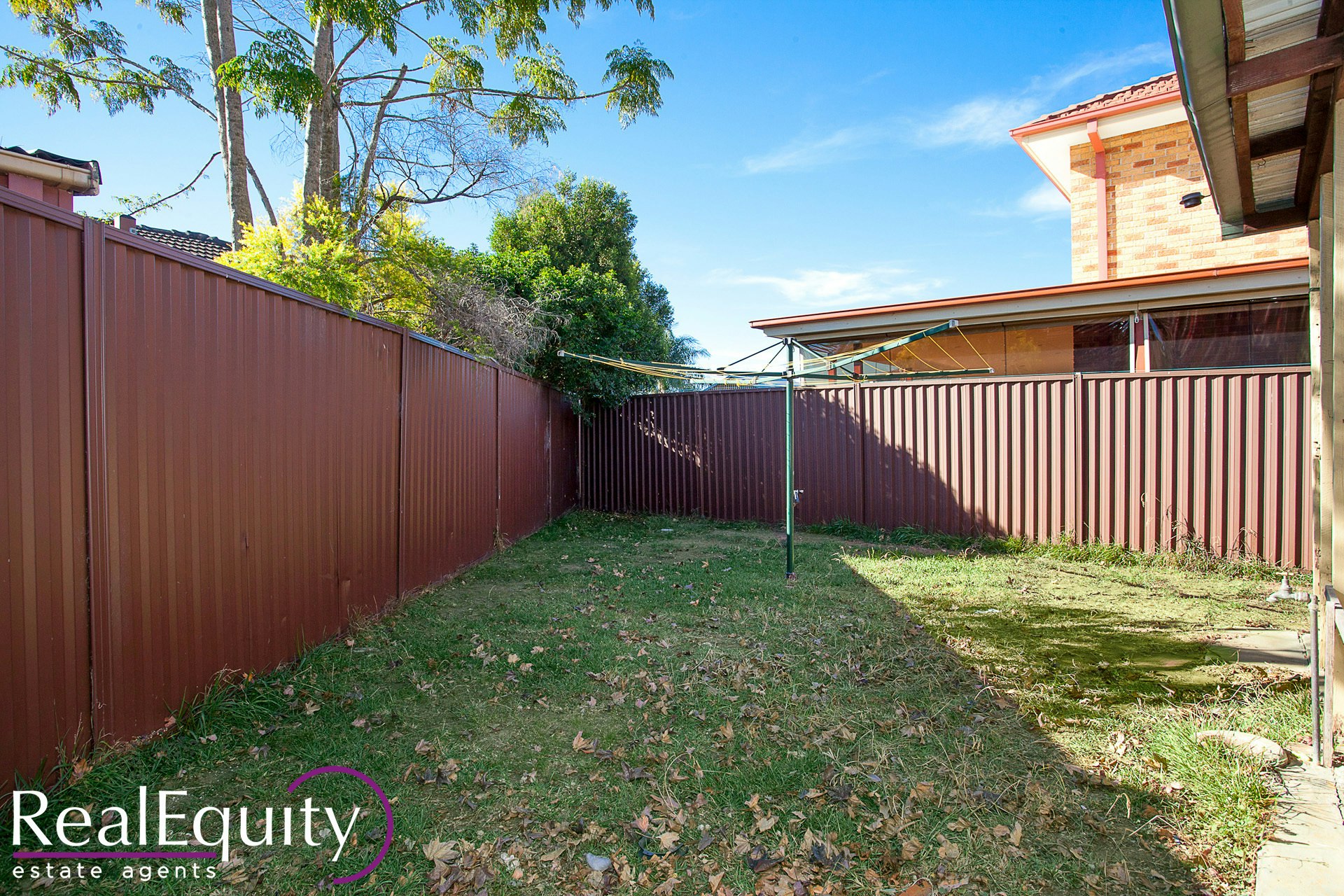 Image of backyard