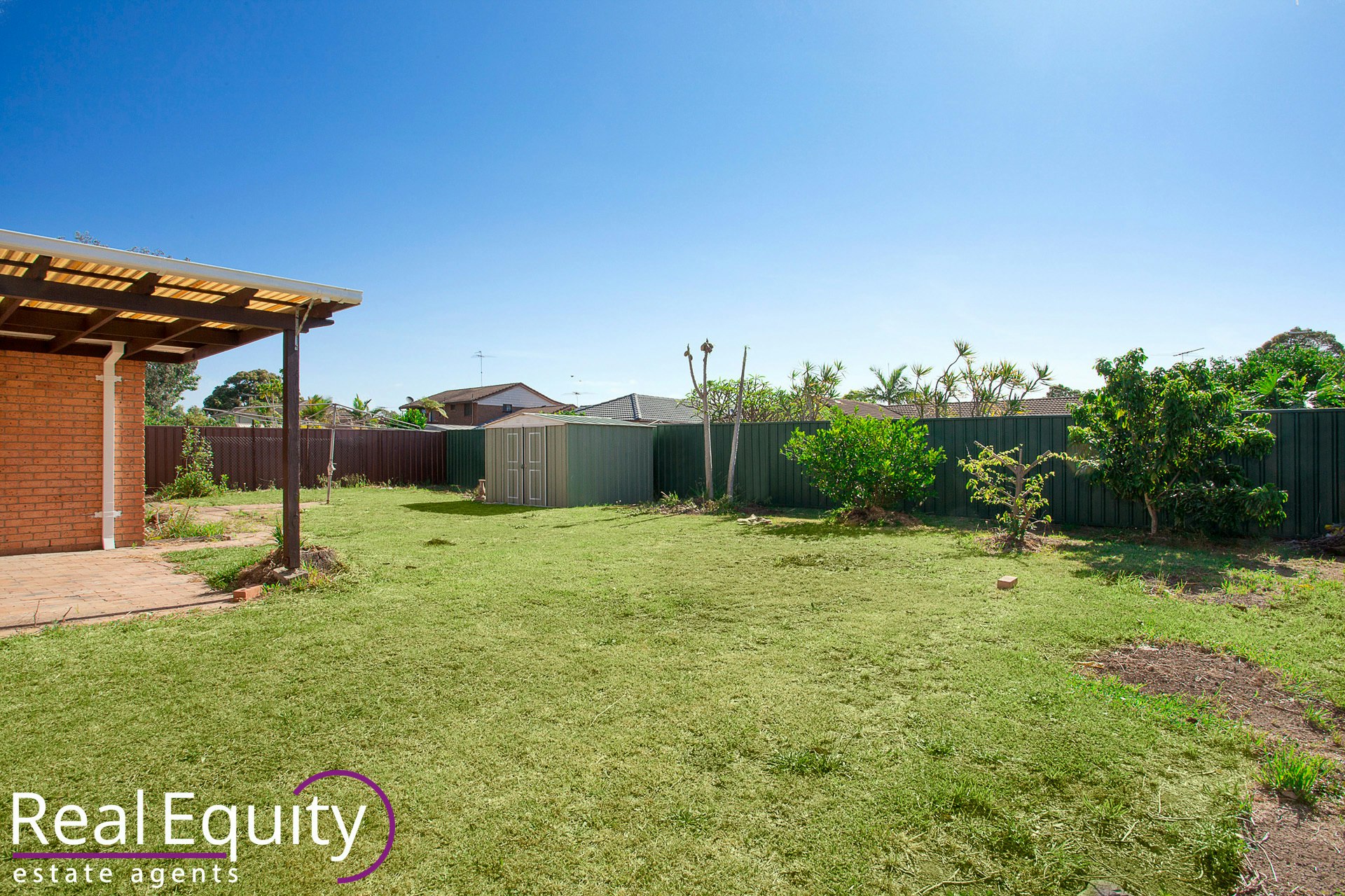 Image of backyard