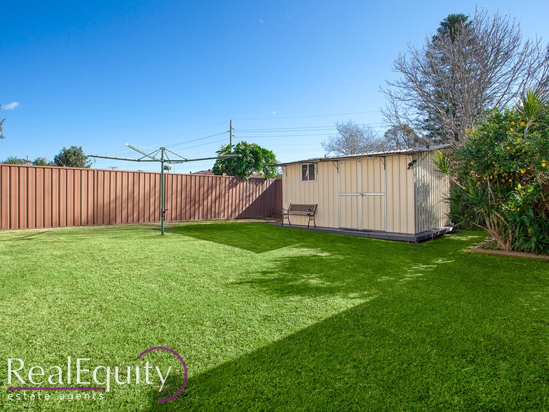 Image of backyard