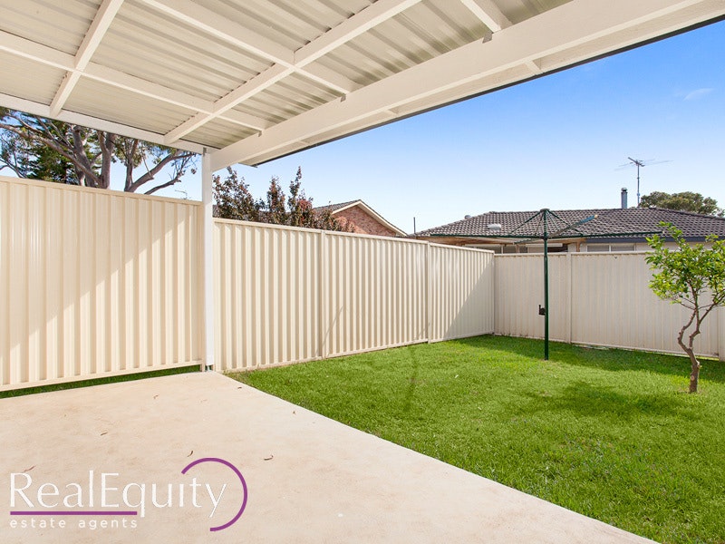 Image of backyard