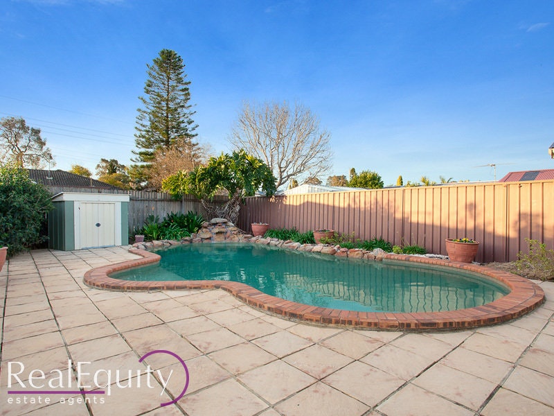 Image of backyard