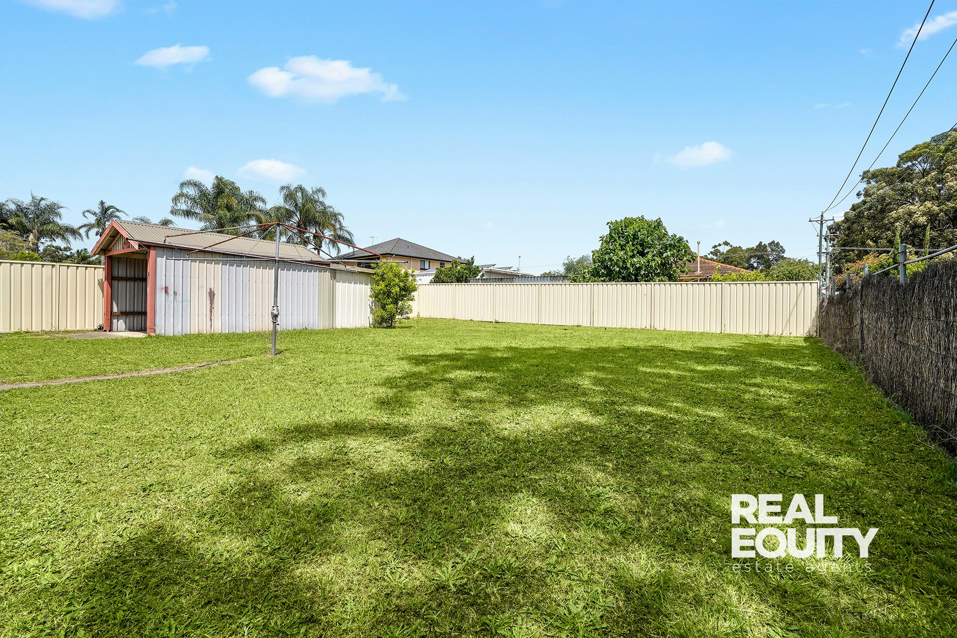 Image of backyard