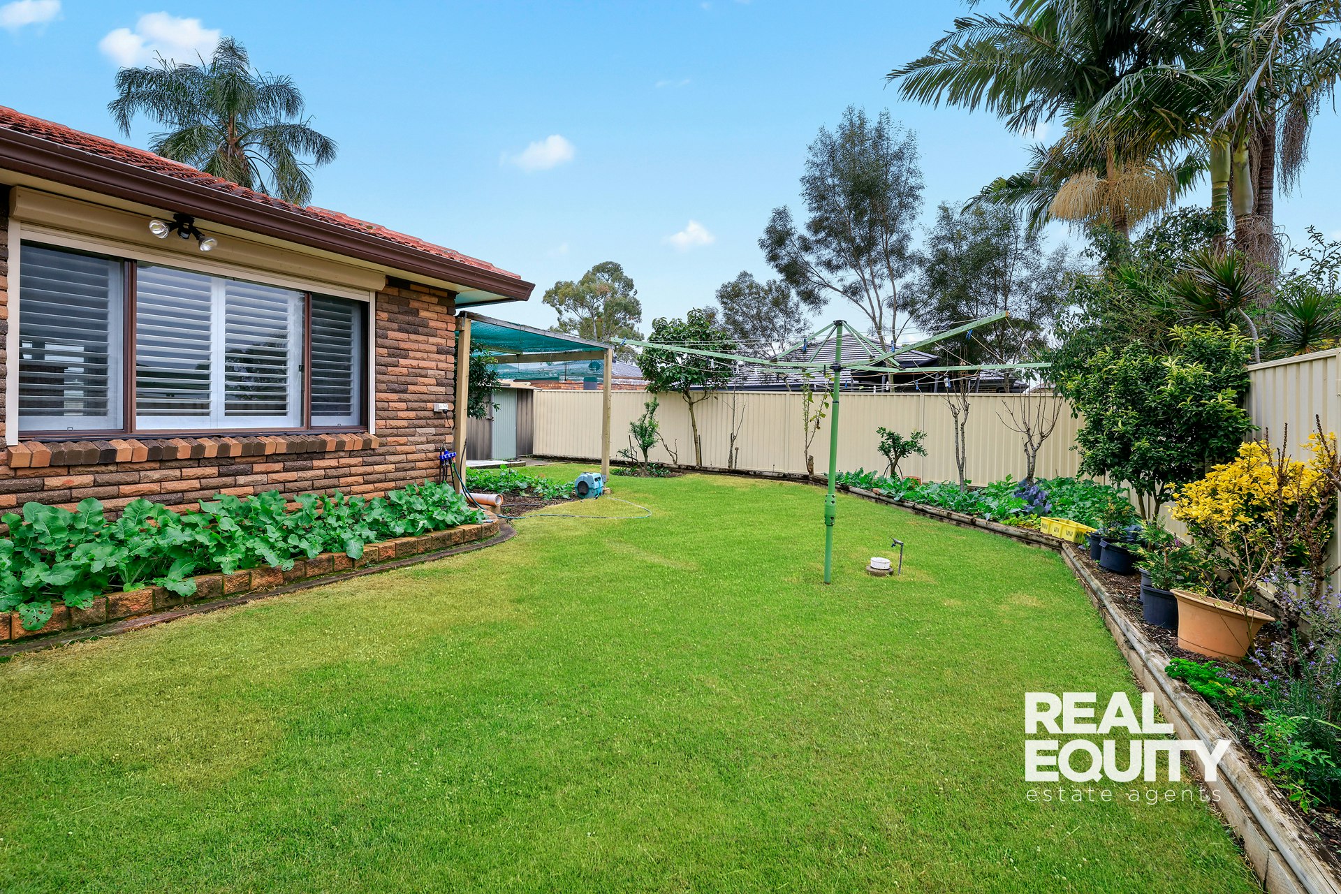 Image of backyard