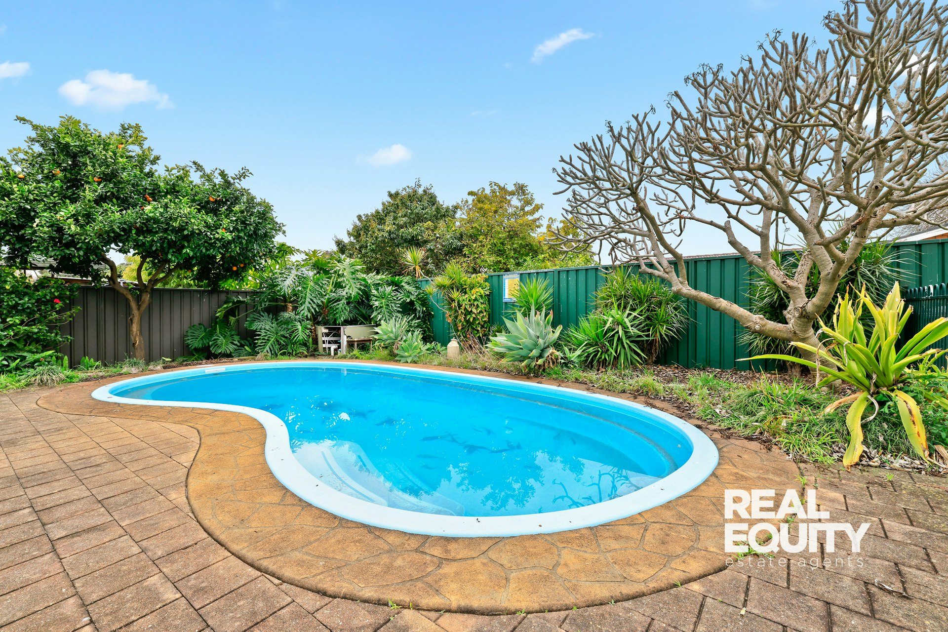 Image of backyard