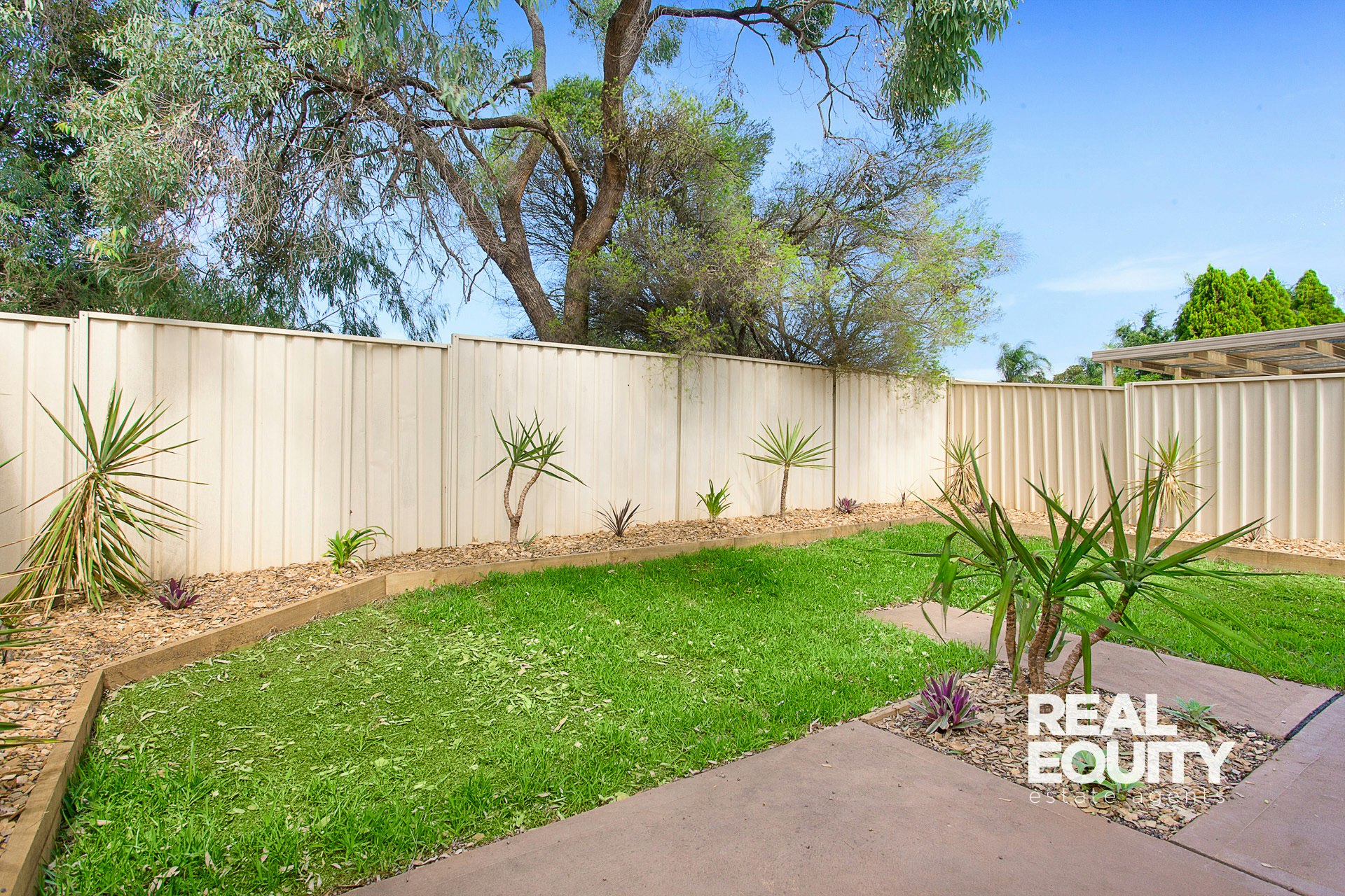 Image of backyard