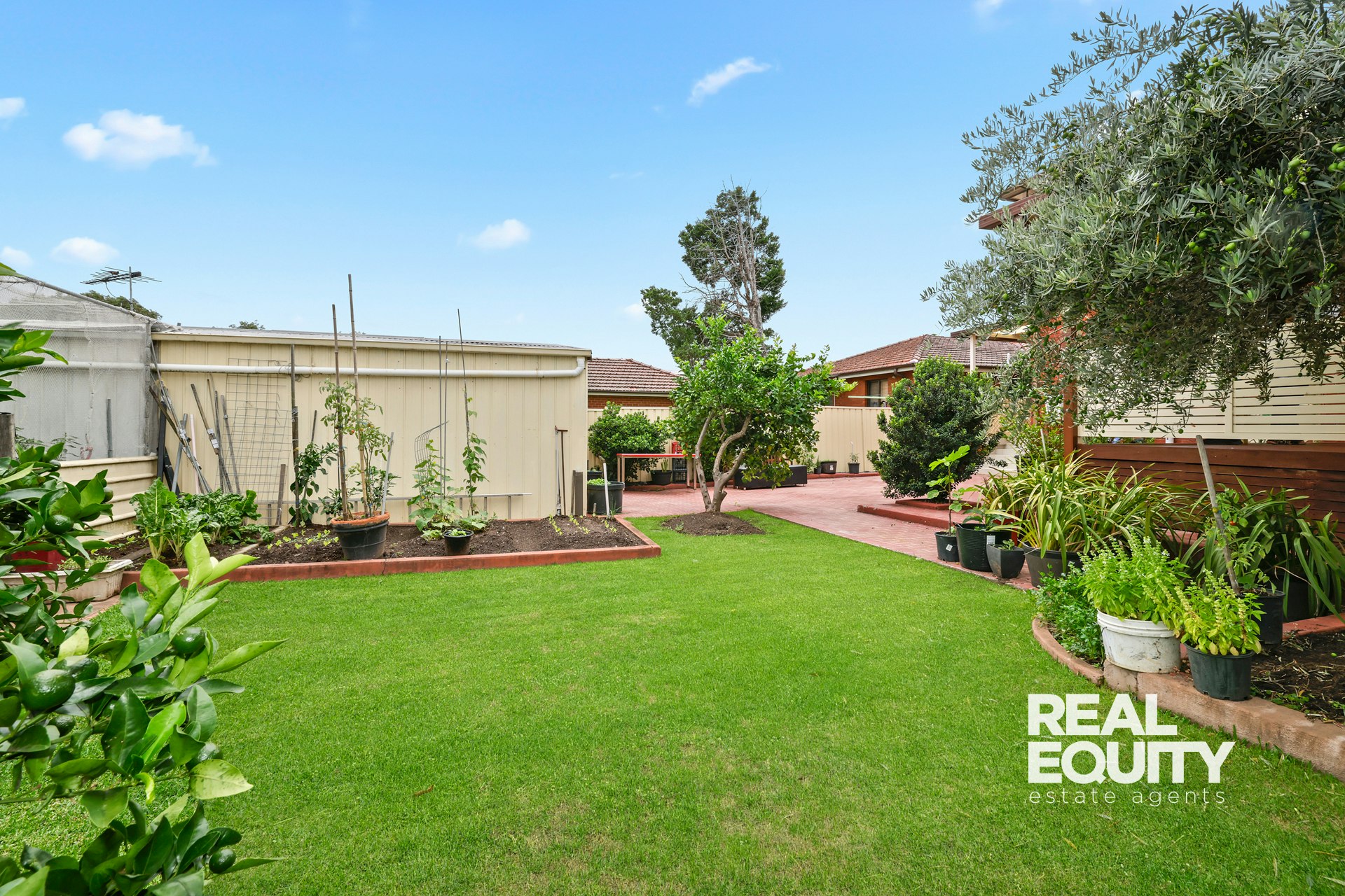 Image of backyard