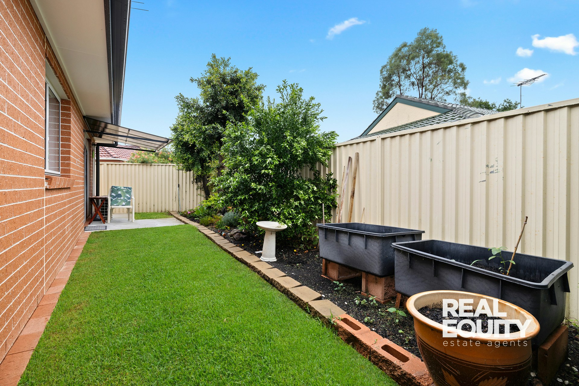 Image of backyard