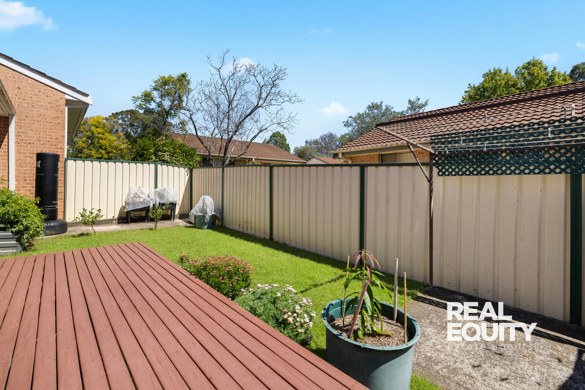 Image of backyard