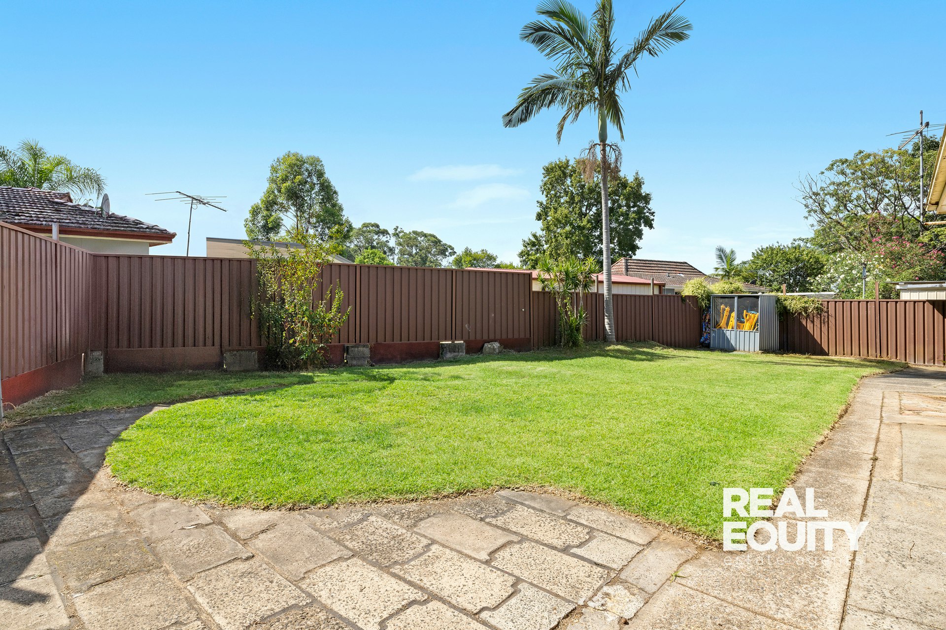 Image of backyard