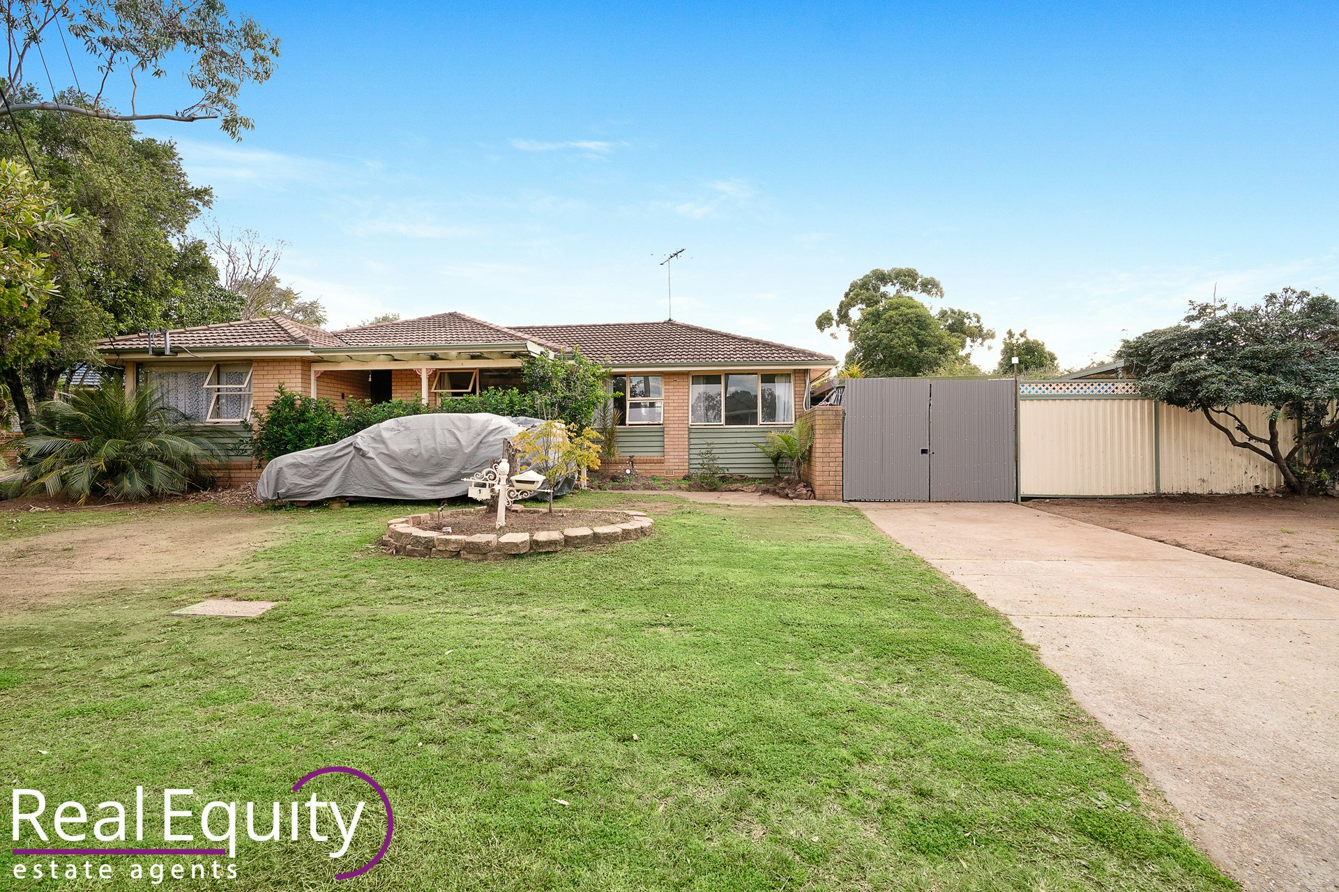 Image of backyard