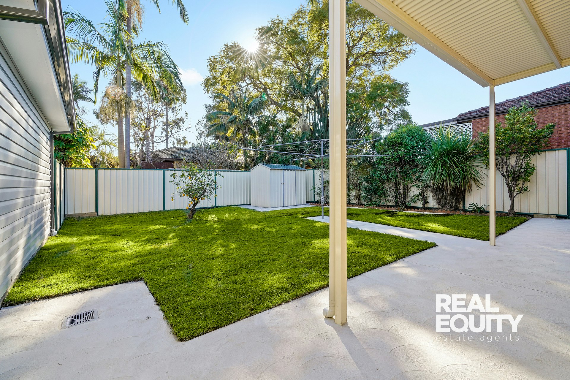 Image of backyard