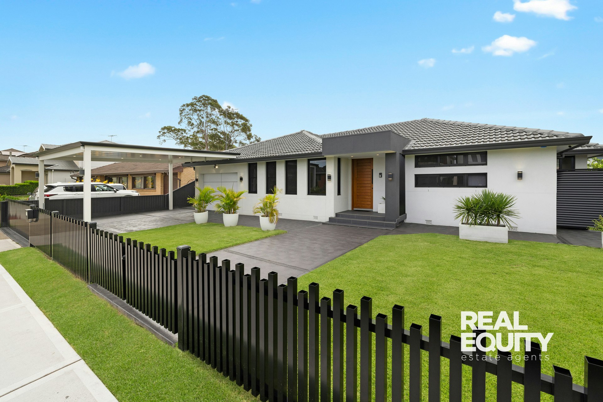Image of backyard