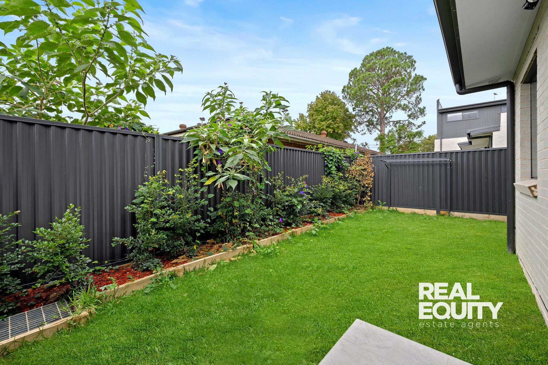 Image of backyard