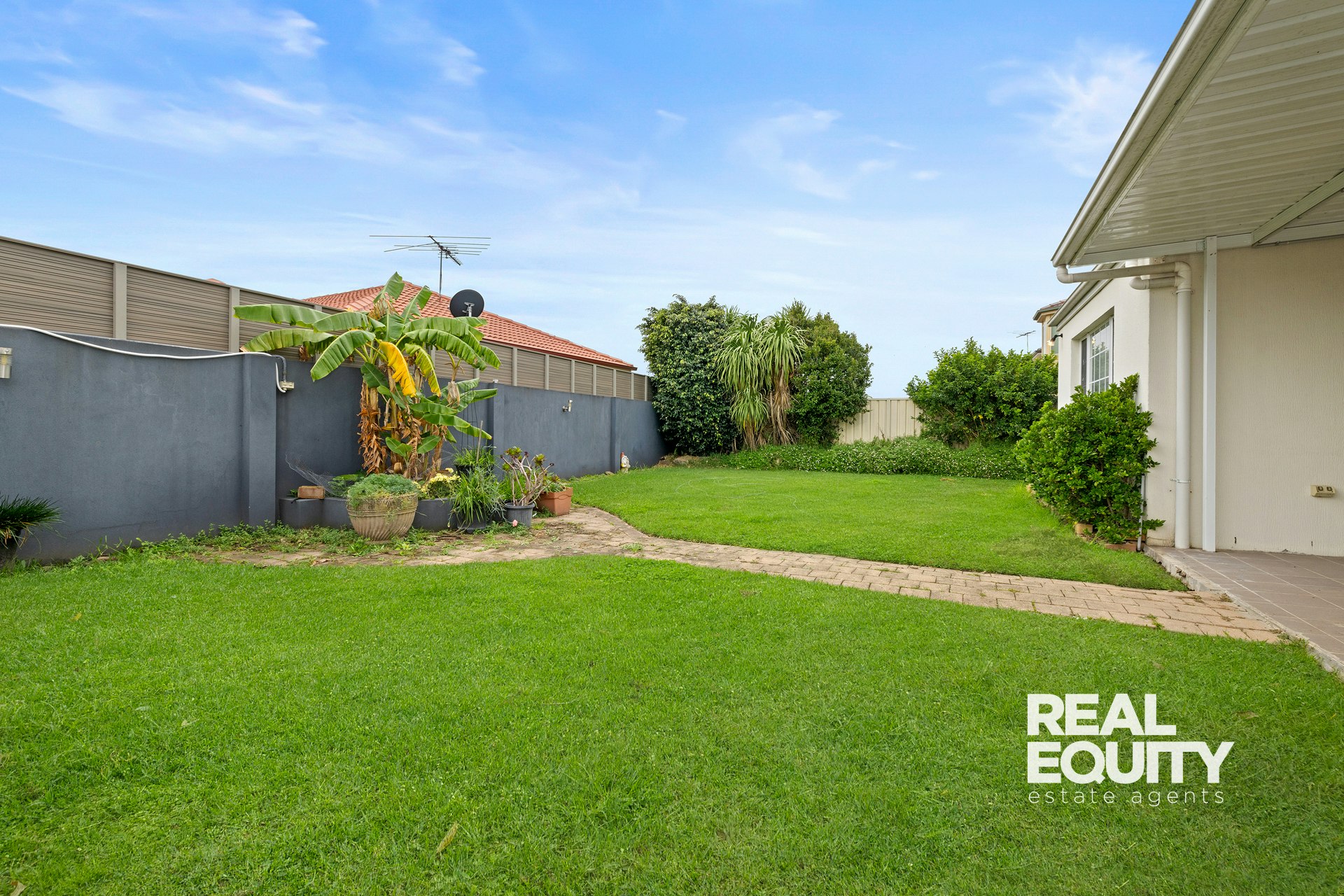 Image of backyard