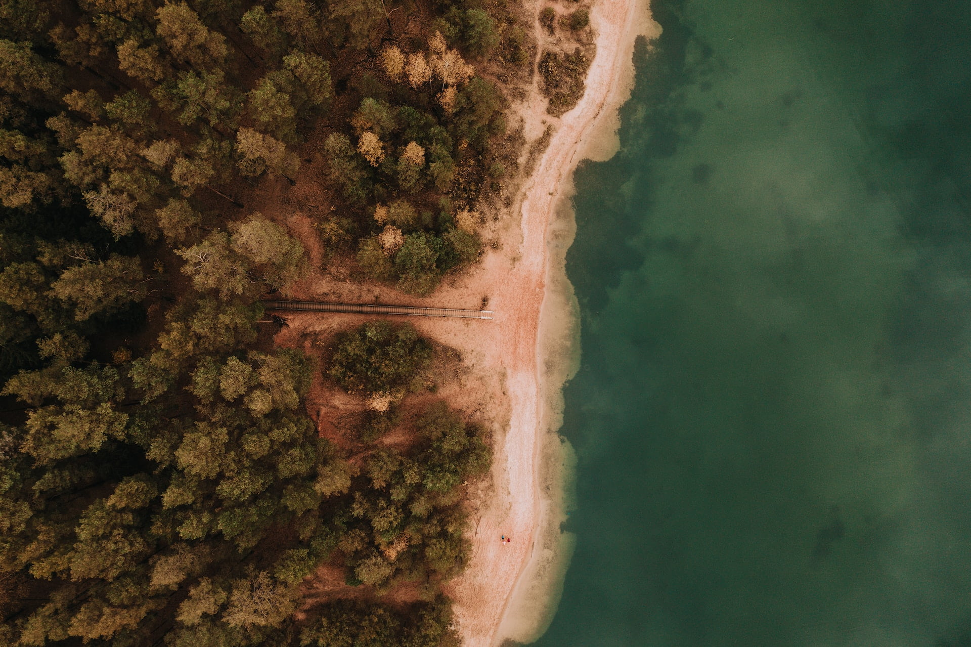Forest and see in Latvia
