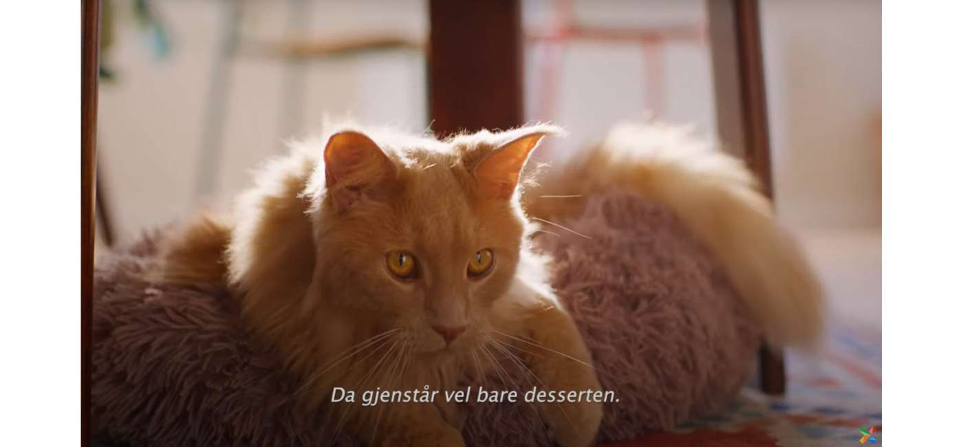 Image LOTTO (Risotto, Doggybag)