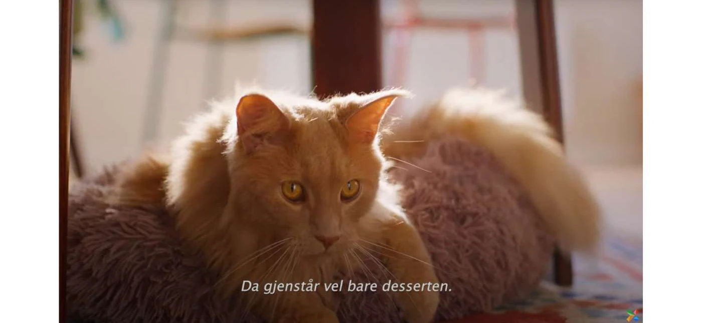 Image LOTTO (Risotto, Doggybag)