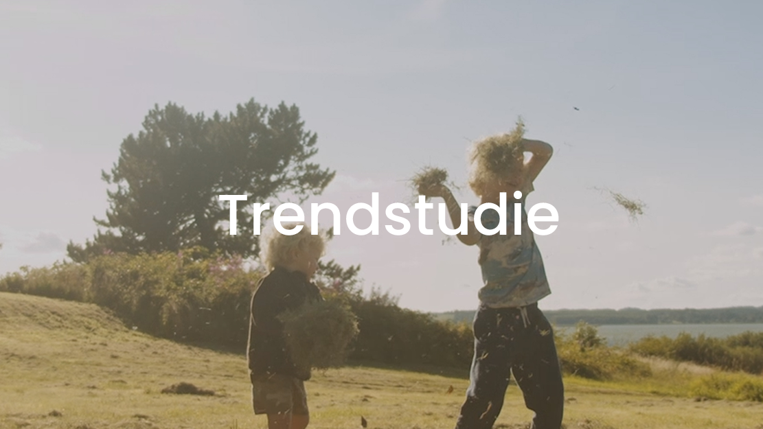 Image of two children playing in a grassy field