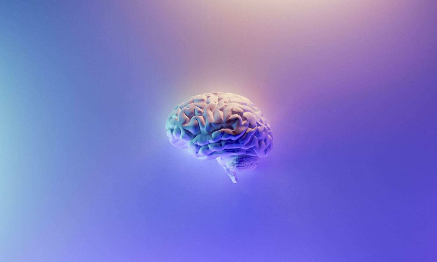 Image of a brain on a coloured background not medical