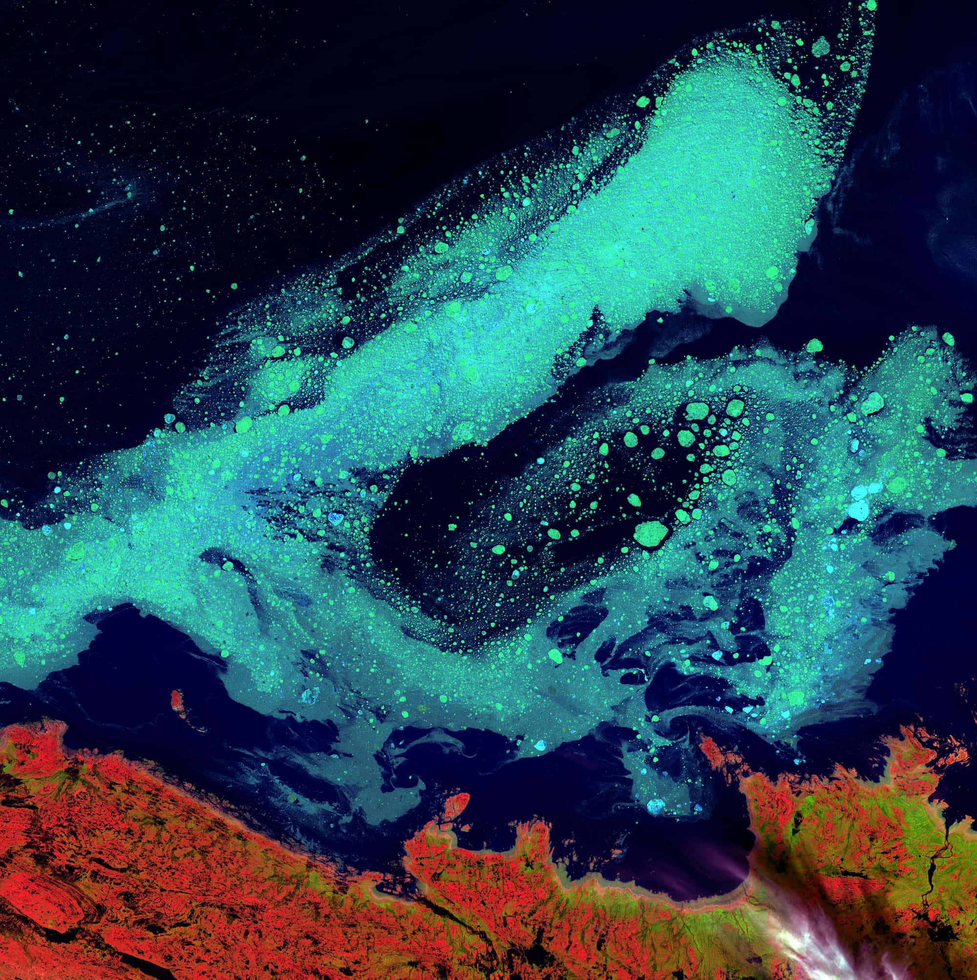 image of a coastline from the air