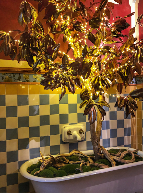 Nature, taking centre stage this Christmas at Casa Vicens Gaudí