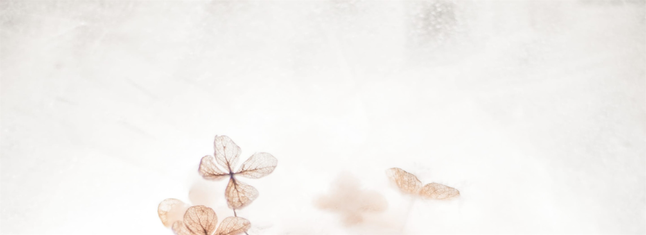 Banner media