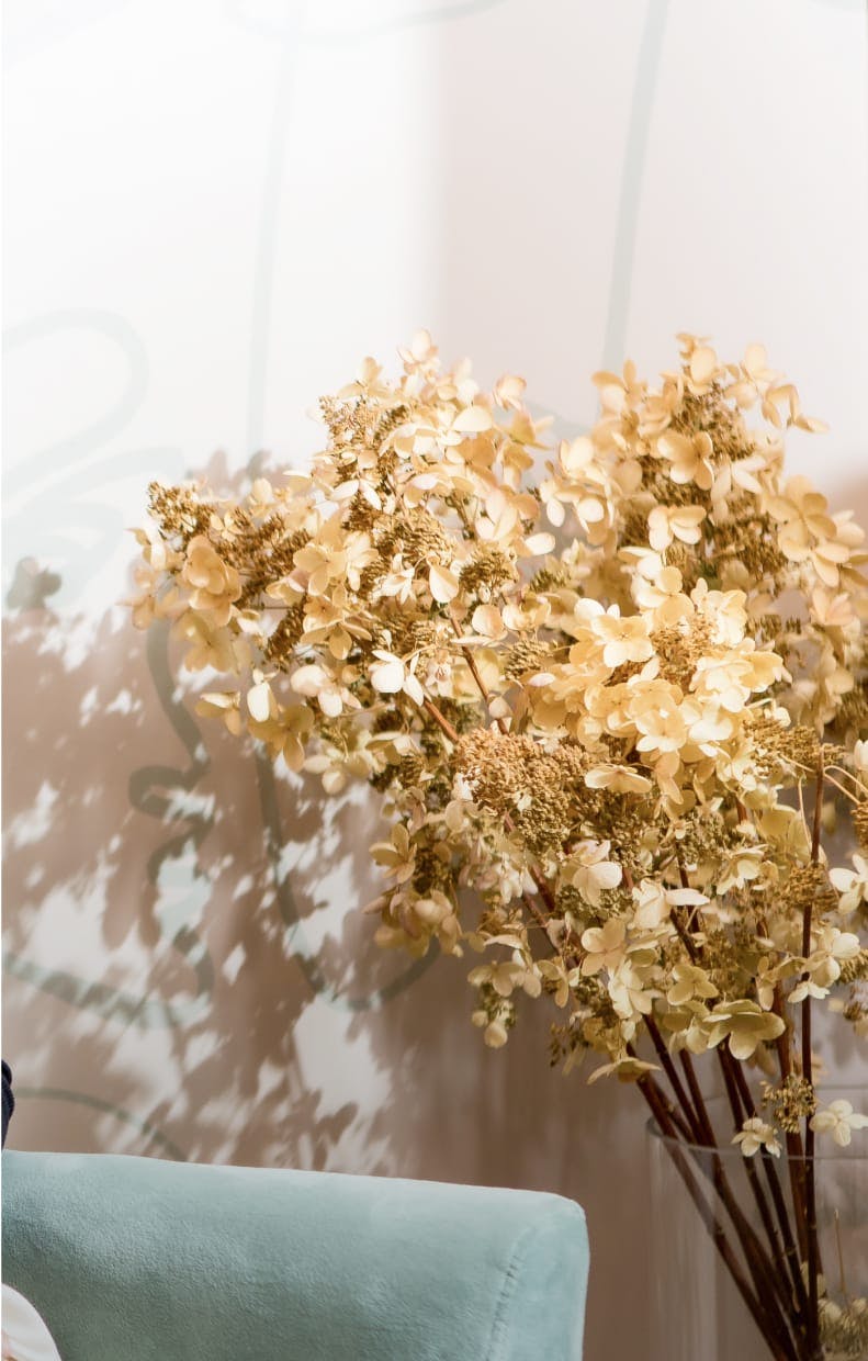 plants