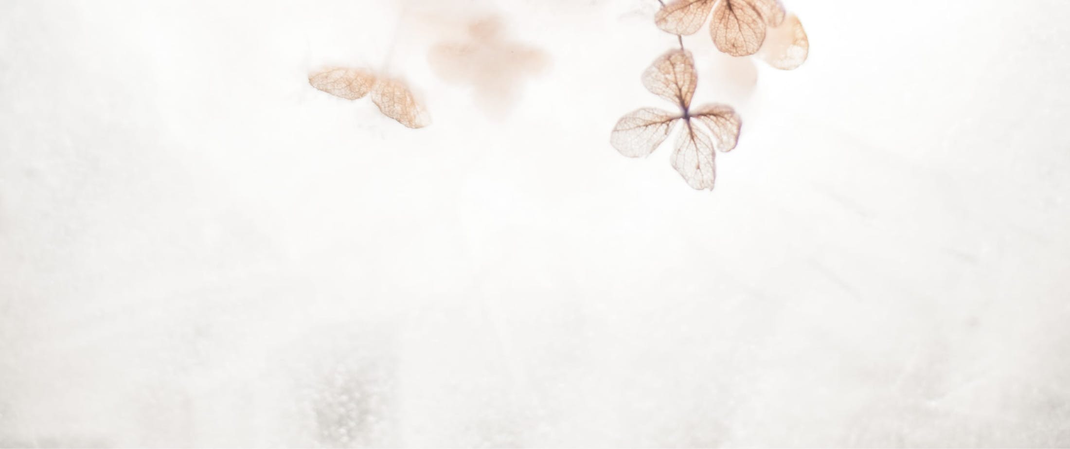 Background texture