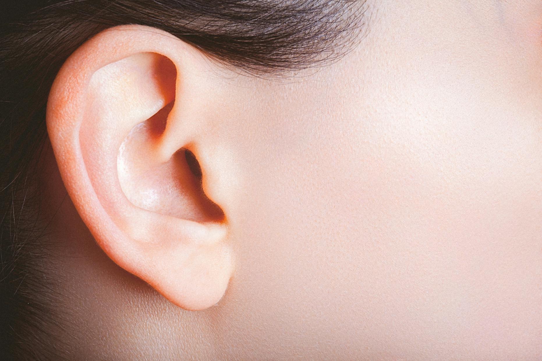 side view of ear