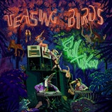 Teasing Birds