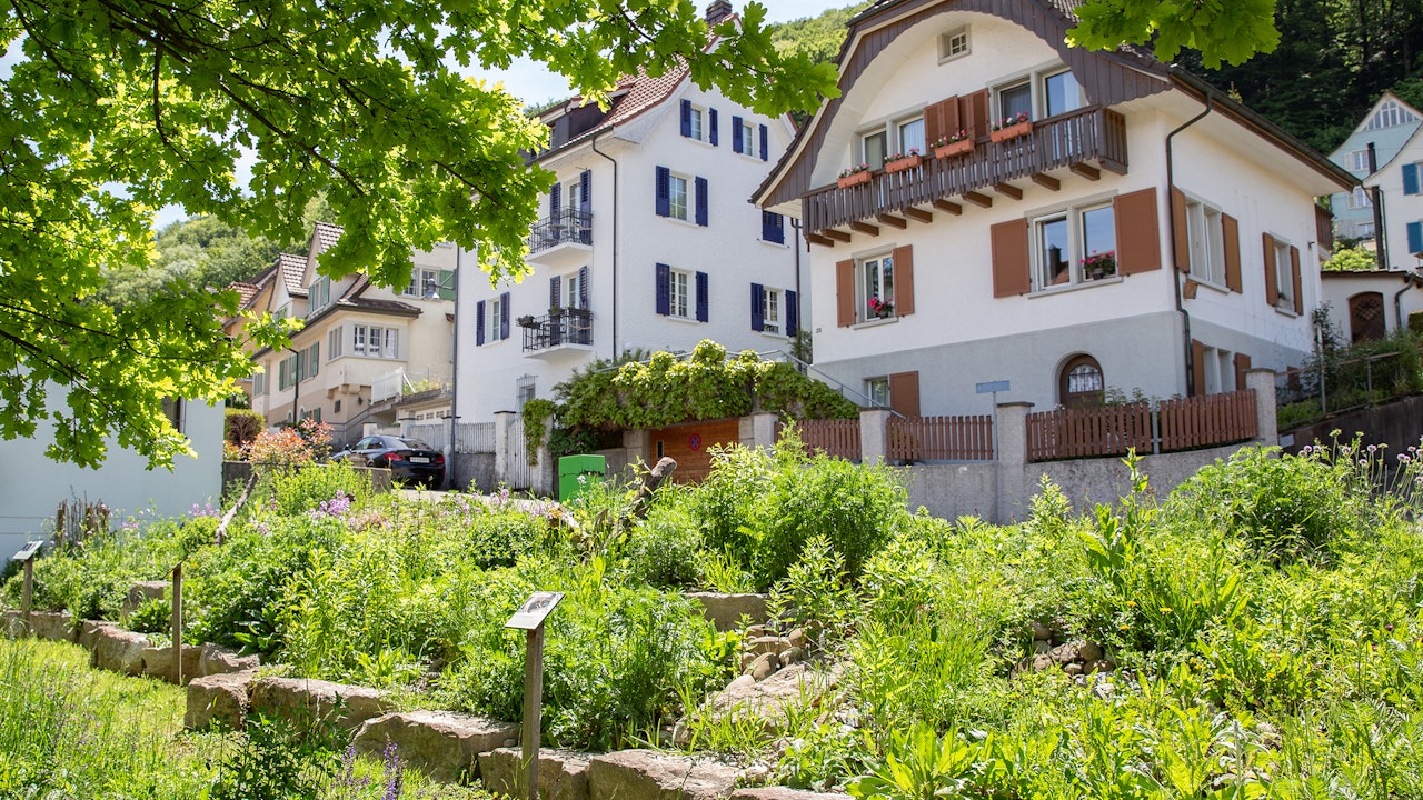 Biodiverse Böschung in Baden, Preisträger Binding Preis für Biodiversität 2021. Biodiverse, bepflanzte Böschung vor zwei Mehrfamilienhäusern in Baden AG