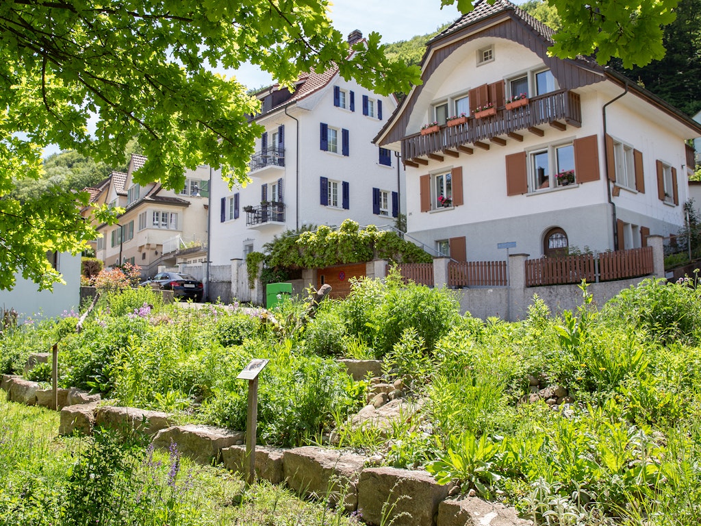 Talus riche en biodiversité à Baden, lauréat du Prix Binding pour la biodiversité 2021.